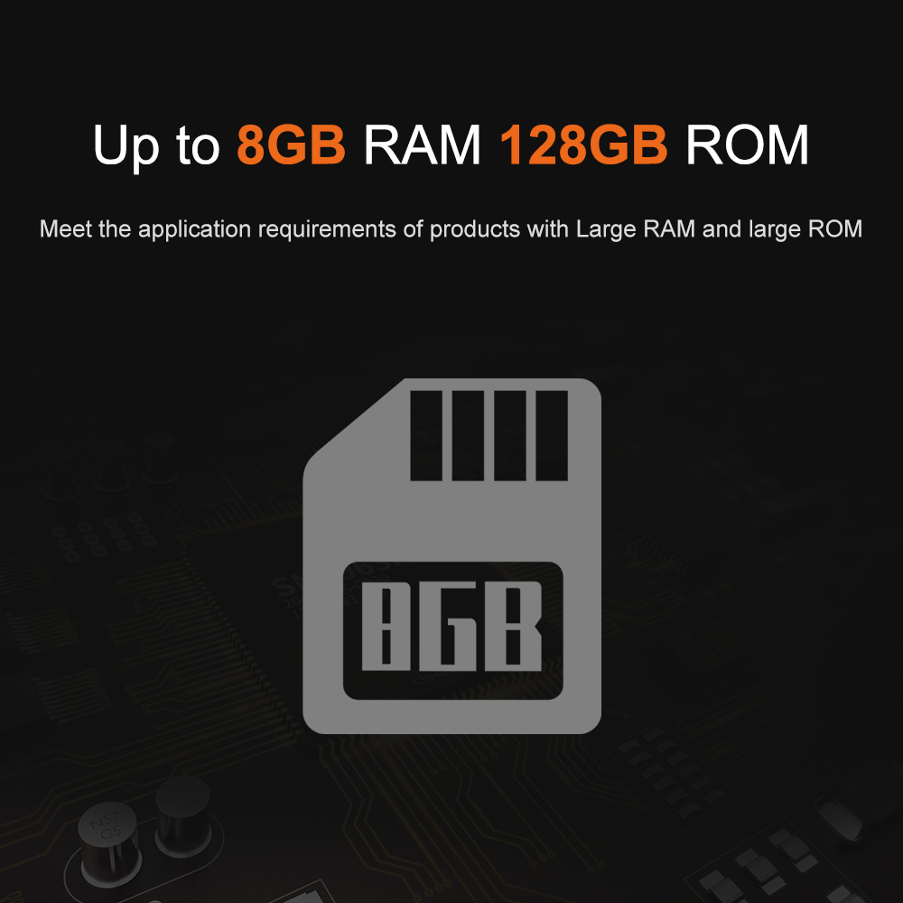 Liontron RK3566 DDR4 8GB RAM A - Open Vending Machine ulasan dan harga